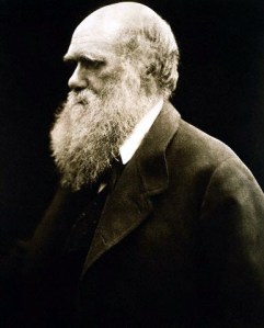 Charles Darwin, by Julia Margaret Cameron