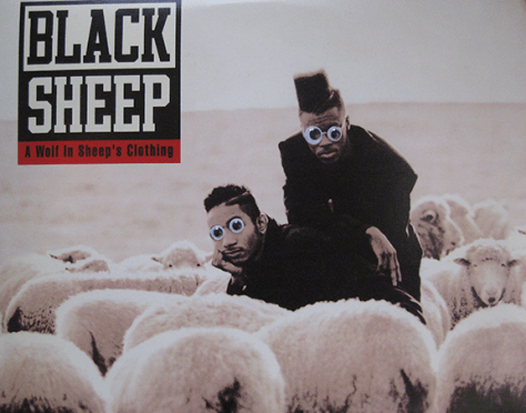 blacksheep