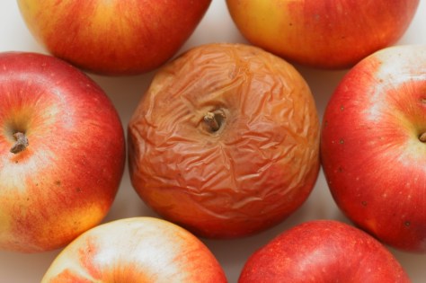 One_Bad_Apple_Featured-Custom